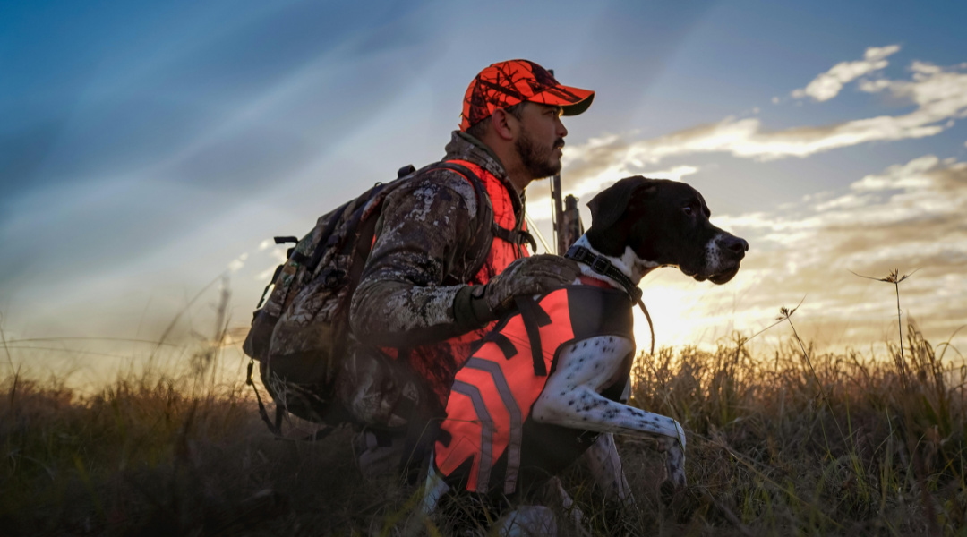 Weiteres Zubehör für den Jagdhund