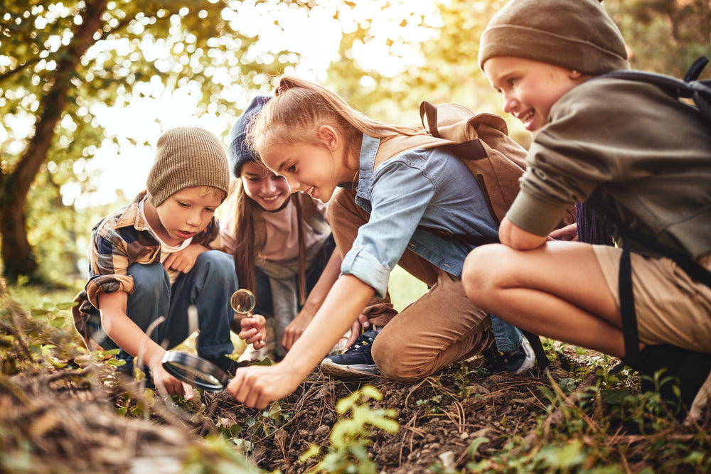 Spannende Kinderbücher – Geschichten über Abenteuer, Tiere und die Natur für junge Entdecker