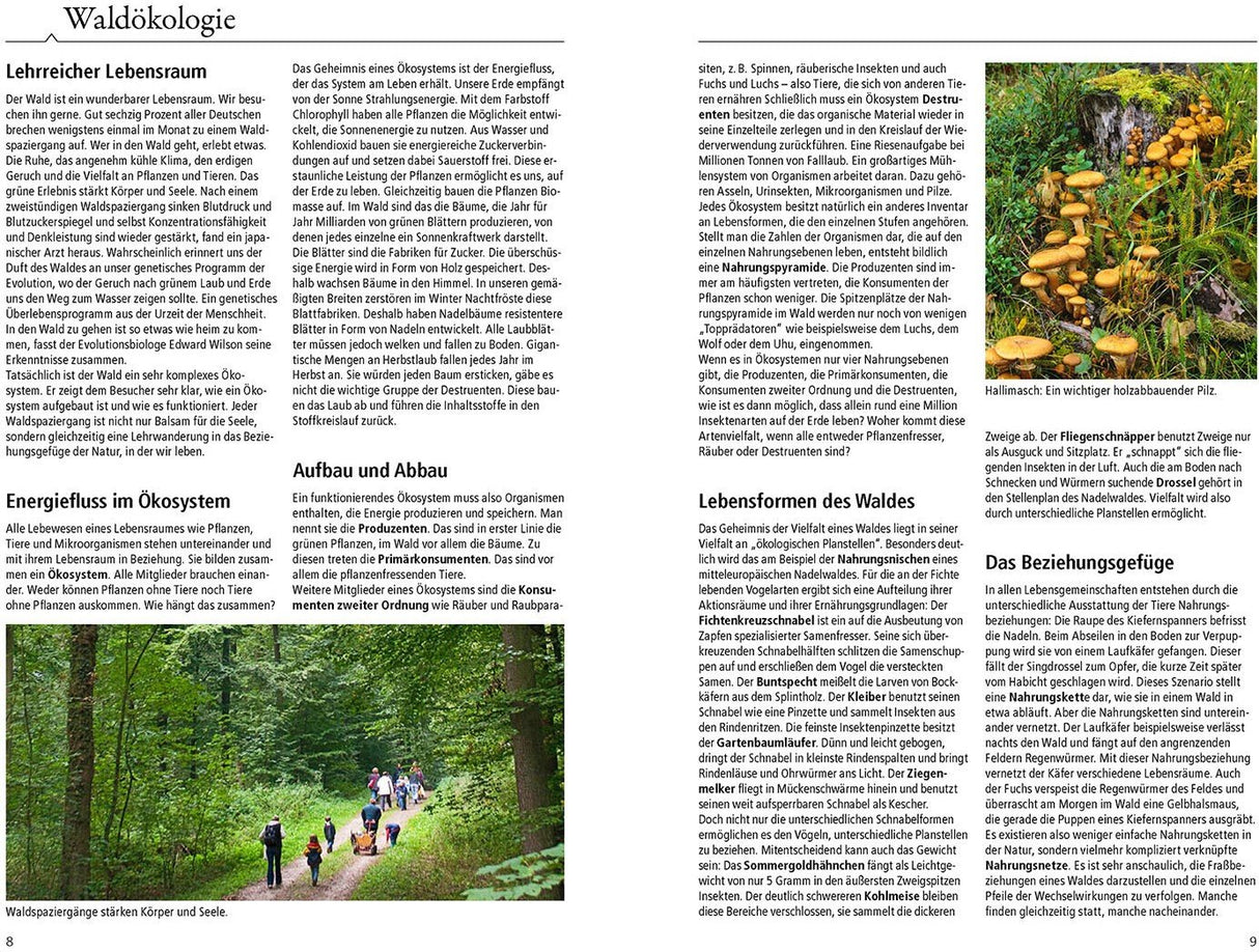 Kosmos Waldfuehrer Waldoekologie