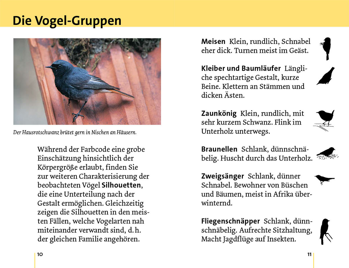 Alle Vögel sind schon da - Die Vogel-Gruppen