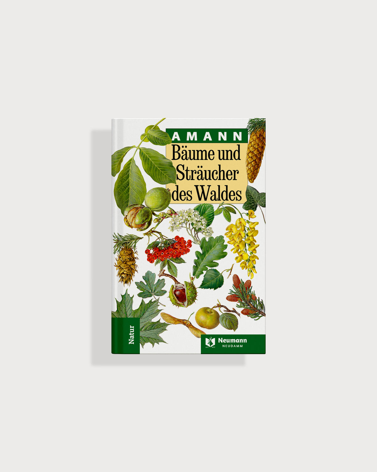 Bäume und Sträucher des Waldes (Test)