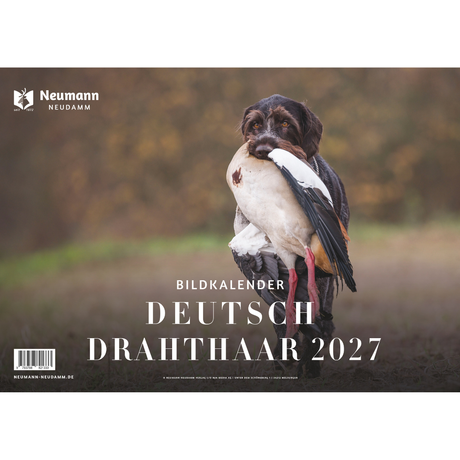Deutsch Drahthaar Kalender 2027