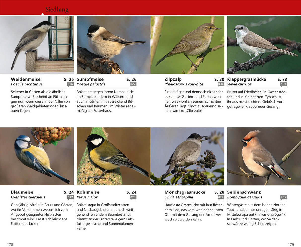 Kosmos Vogelfuehrer fuer untewegs - Siedlung Voegel
