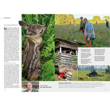 Sonderheft Rehwild mit DVD - Inhalt 