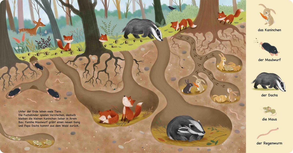 Tiere im Wald Wimmelbuch