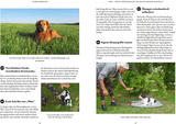 Tipps und Tricks fuer Hundefuehrer Leseprobe