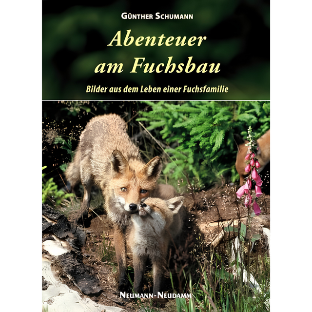 Abenteuer am Fuchsbau – Bilder aus dem Leben einer Fuchsfamilie 