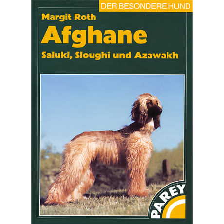 Afghane - Saluki, Sloughi und Azawakh