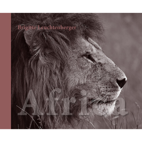 Africa Bildband