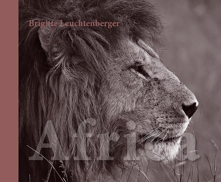 afrika bildband