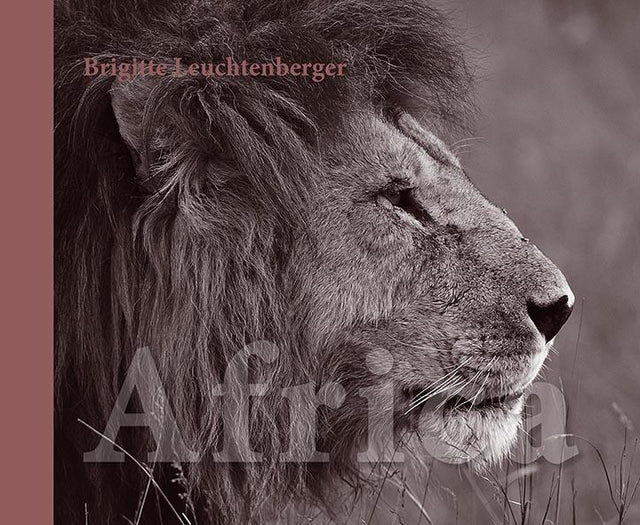 afrika bildband