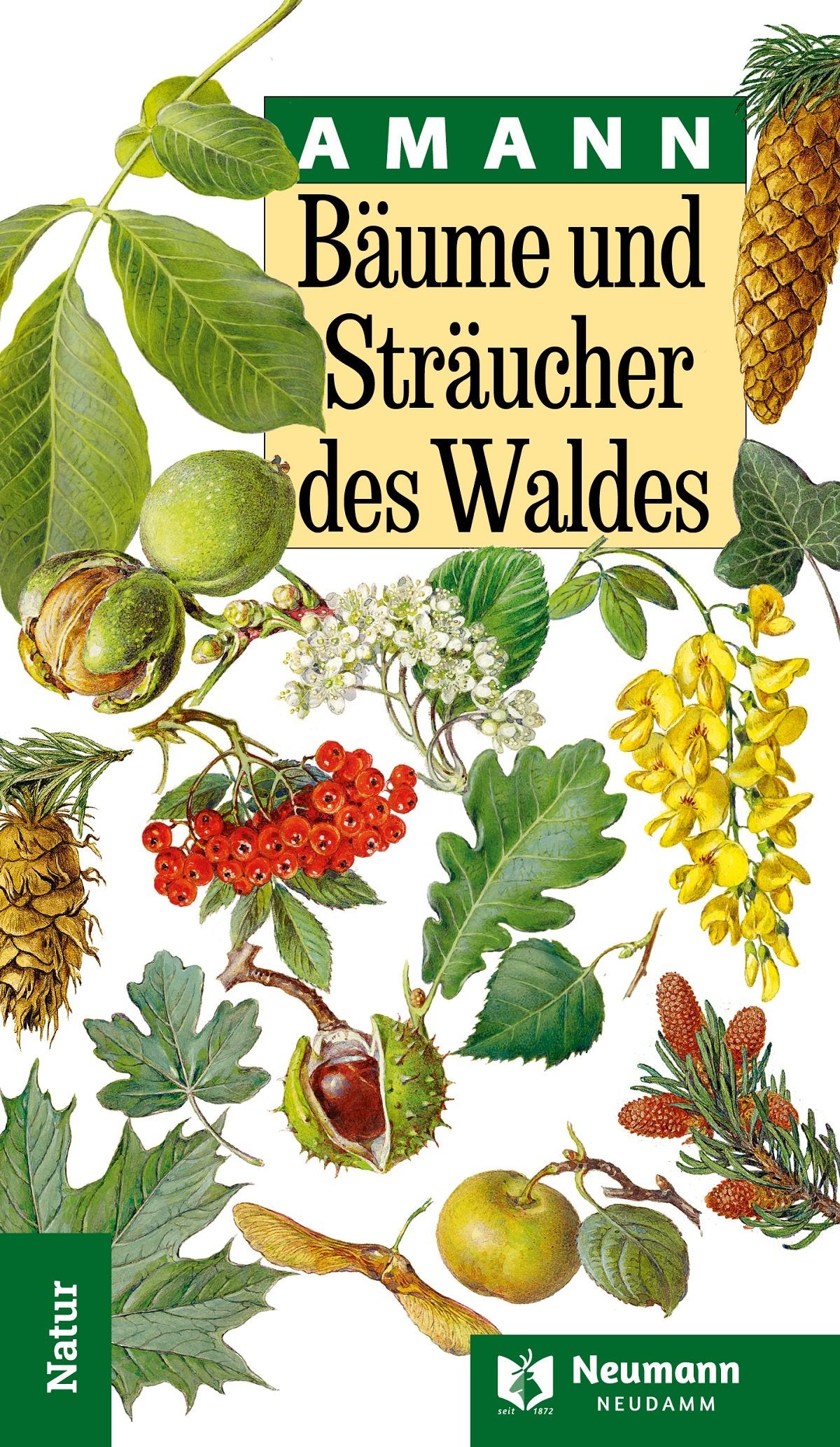 Amann Baeume und Straeucher