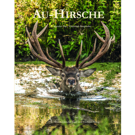 Au-Hirsche von Jaroslav Pap und Christoph Burgstaller