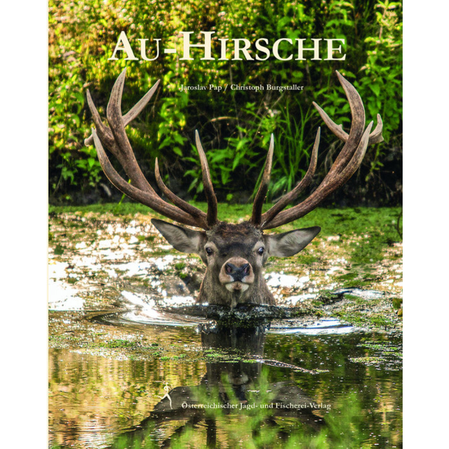 Au-Hirsche von Jaroslav Pap und Christoph Burgstaller