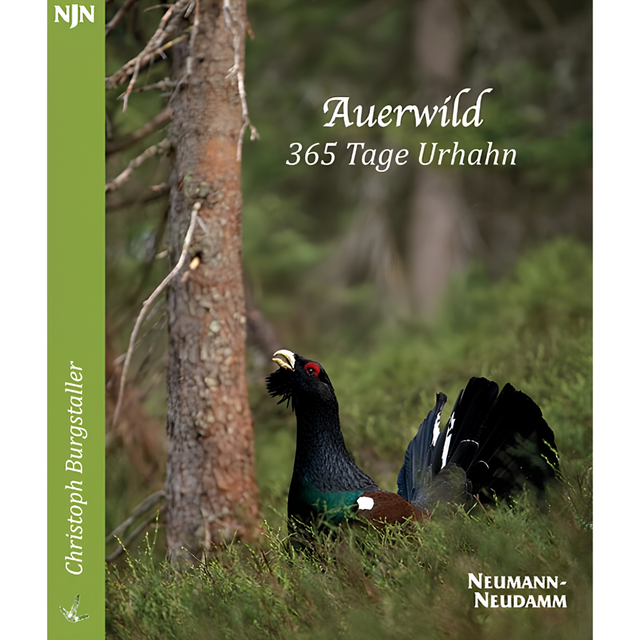 Auerwild – 365 Tage Urhahn