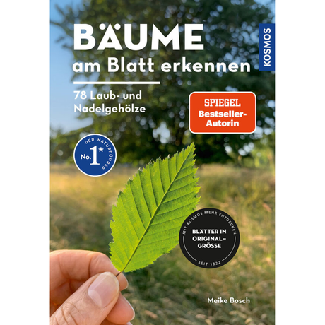Bäume am Blatt erkennen - 78 Laub- und Nadelgehölze.