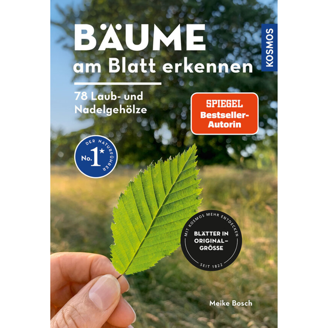 Bäume am Blatt erkennen - 78 Laub- und Nadelgehölze.