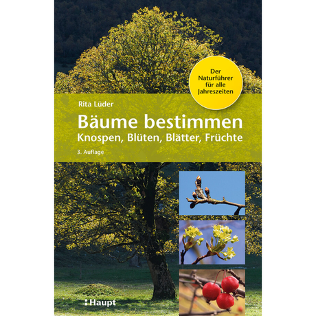 Bäume bestimmen - Knospen, Blüten, Blätter, Früchte - Rita Lüder