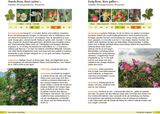 Bäume bestimmen - Knospen, Blüten, Blätter, Früchte - Innenansicht 1
