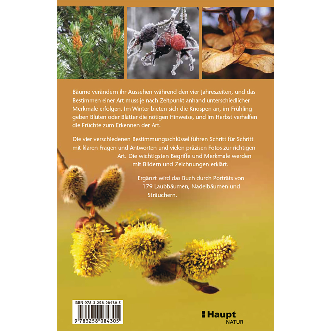 Bäume bestimmen - Knospen, Blüten, Blätter, Früchte - Backcover