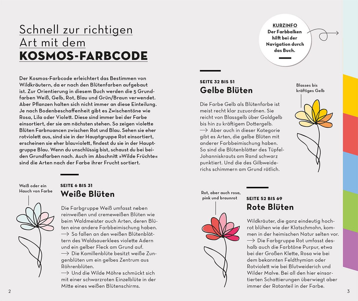 Basic Früchte und Wildkräuter - Kosmos Farbcode