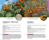 Basic Früchte und Wildkräuter - Gelb oder Orange