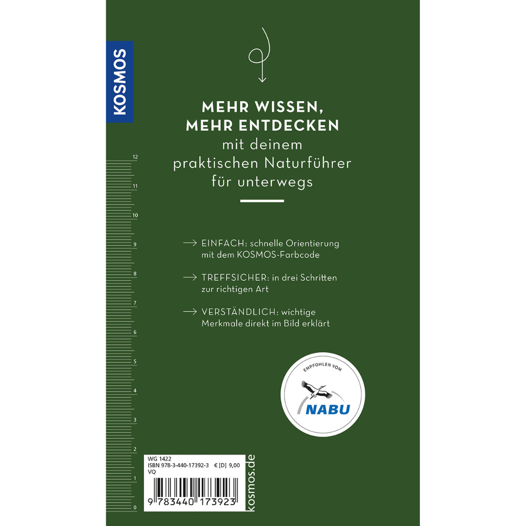 Basic Früchte und Wildkräuter Backcover