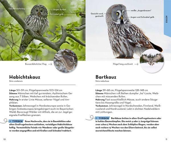 greifvoegel bestimmungsbuch