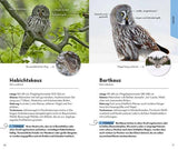 greifvoegel bestimmungsbuch