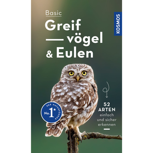 Basic Greifvögel und Eulen