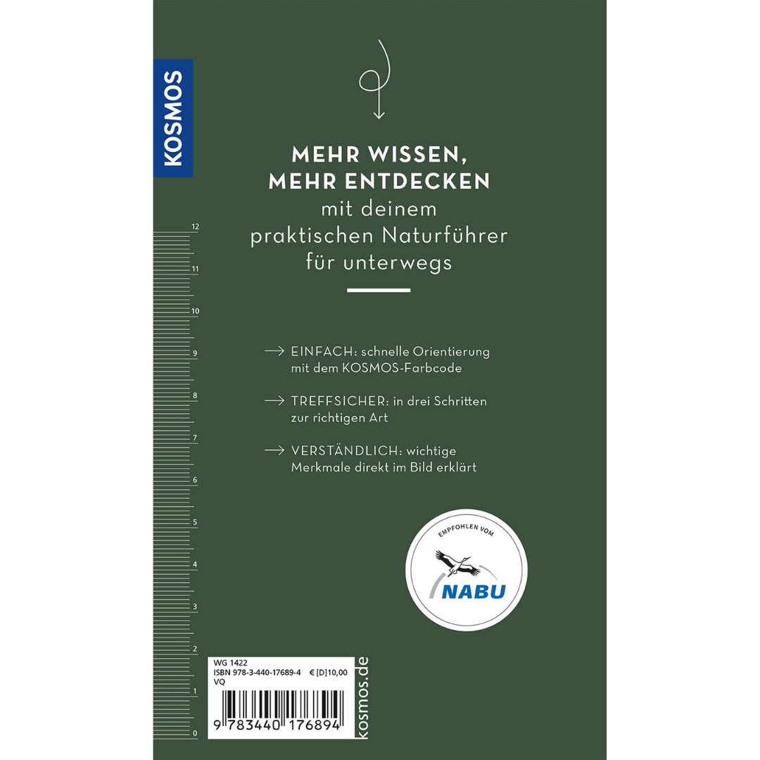 Basic Greifvögel und Eulen - Backcover