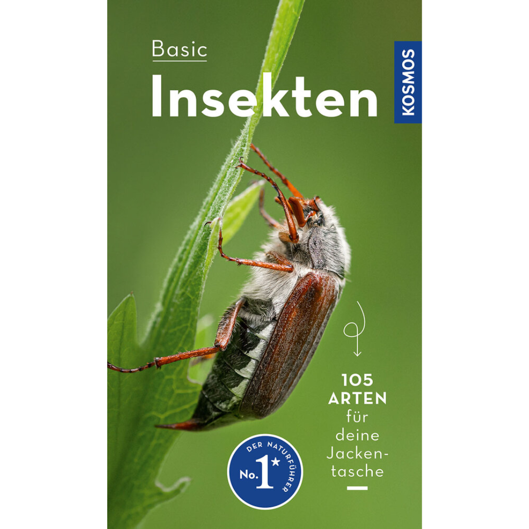 BASIC Insekten