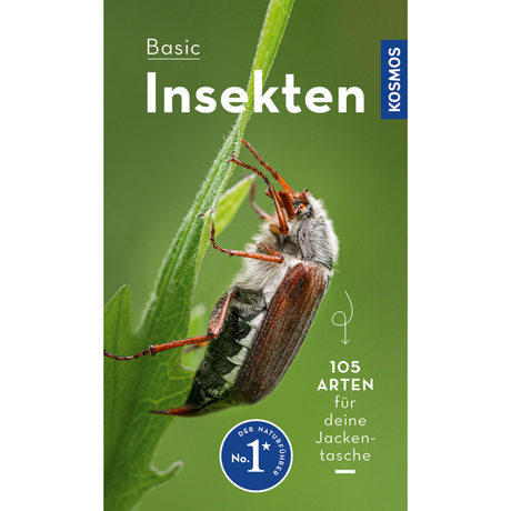 BASIC Insekten