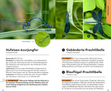 BASIC Insekten - Vierflügler