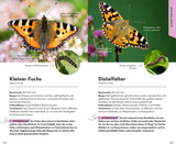 BASIC Insekten - Schmetterlinge