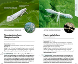Basic Schmetterlinge - Flügel Weiss
