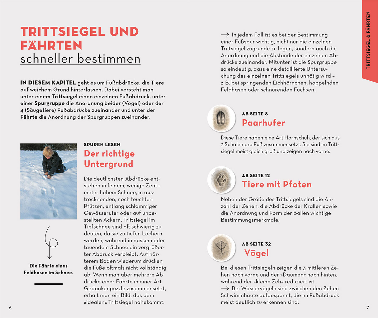 Basic Tierspuren - Trittsiegel & Fährten schneller bestimmen