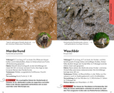 Basic Tierspuren - Trittsiegel und Fährten