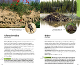 Basic Tierspuren - Baue und Nester