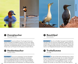 BASIC Vögel - Wasserögel