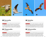 BASIC Vögel - Eulen und Greifvögel