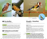 BASIC Vögel - Singvögel