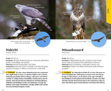 Basic Wald - Vögel