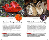 Becherling bestimmen