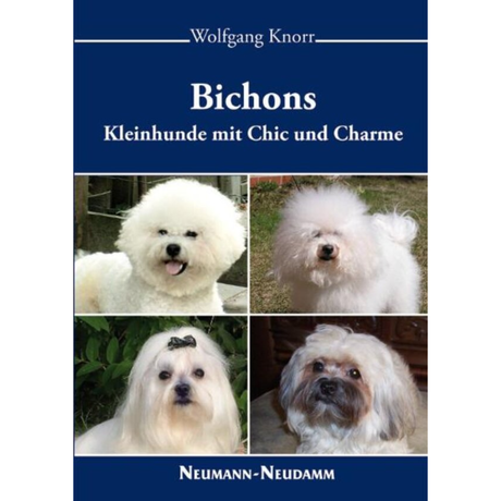 Bichons - Kleinhunde mit Chic und Charme