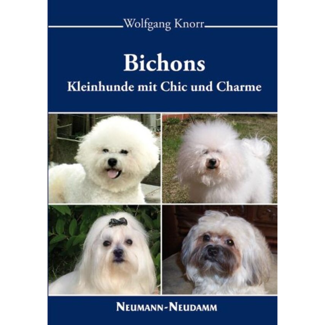 Bichons - Kleinhunde mit Chic und Charme