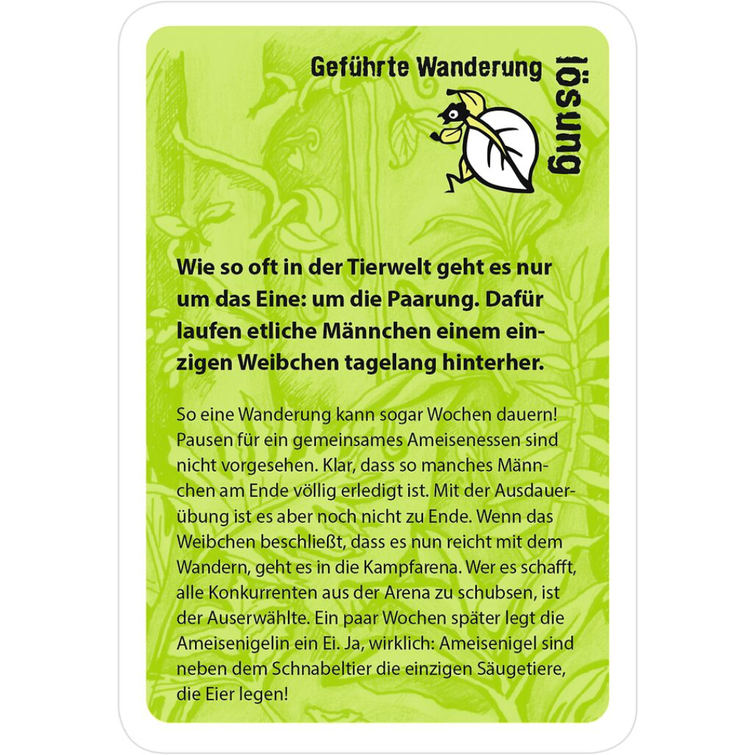 black stories junior Tierisch wild! - Rätsellösung