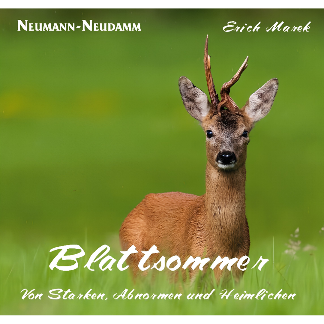 Blattsommer – Von Starken, Abnormen und Heimlichen