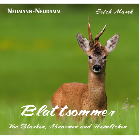 Blattsommer – Von Starken, Abnormen und Heimlichen