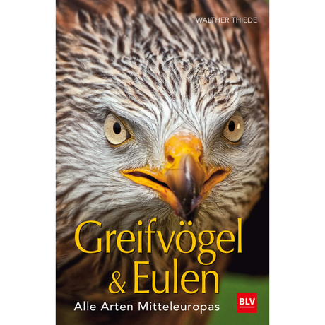 BLV Greifvögel & Eulen - Alle Arten Mitteleuropas von Walther Thiede